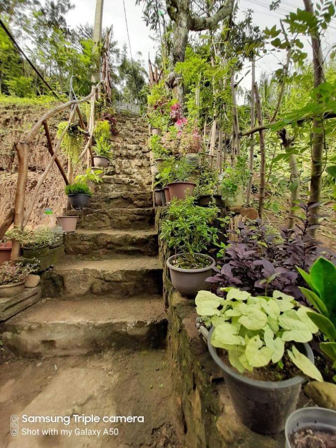 Biwon Homestay Ella Εξωτερικό φωτογραφία