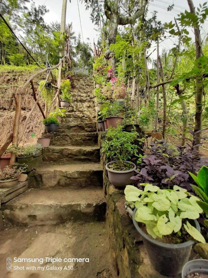 Biwon Homestay Ella Εξωτερικό φωτογραφία